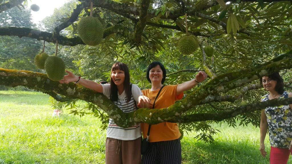 Friends smiling together under a fruit tree at the farm
